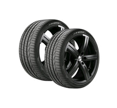 Aliquet ac sagittis eget euismod